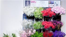 UNIQLO。（圖／業者提供）