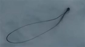 ▲哥倫比亞上空出現新型態的UFO？（圖／翻攝自推特）