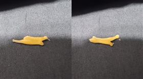 網友在床上發現一團會動的黏稠物，竟然是絛蟲。（圖／翻攝自爆廢公社公開版）