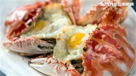 萬里蟹。（圖／新北市漁業處提供）