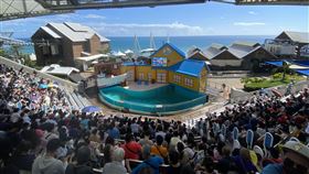 花蓮海洋公園,人潮,5倍券,（圖／翻攝畫面）