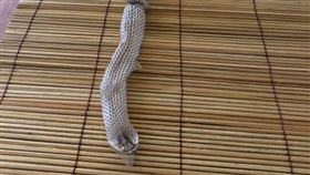 一覺醒來驚見「1公尺蛇皮」！完整到毛骨悚然　女屋主崩潰▲（圖／翻攝自Belinda Kane臉書）

