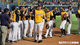 ▲中信兄弟球員慶祝勝利。（圖／記者劉彥池攝影）