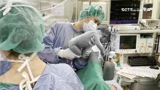 台孕產婦死亡率高於日韓 醫：3制度需努力