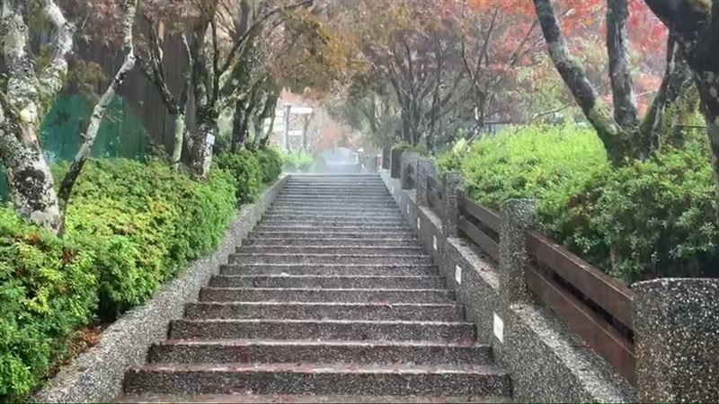圓規甩雨彈　太平山宣布12日起休園
