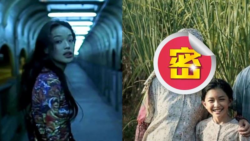 封「最美村婦」舒淇20年外貌竟沒變