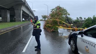 羅東路樹傾倒阻道路！警冒雨抬樹救援
