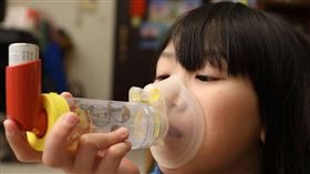 ▲禽蟎是台灣孩童最主要的過敏原，除了皮膚、鼻過敏之外，最嚴重會誘發氣喘發作危及性命。（圖／CTWANT）