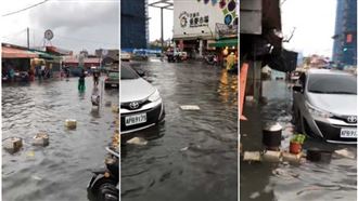 圓規雨彈狂炸花蓮　當地人直呼扯