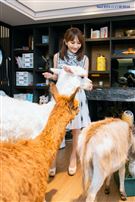 王宥忻三立新聞網專訪。（圖／記者楊澍攝影）