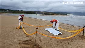 新北市,瑞芳,福隆沙灘,浮屍,遺體