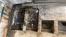 骨骸,乾屍,都市傳說,舊屋,翻修,貓(翻攝自 爆廢公社二館)