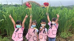 新北市教育局邀請三芝幼兒園學童以三芝筊白筍做為聖火展現創意。(圖/新北市府提供)
