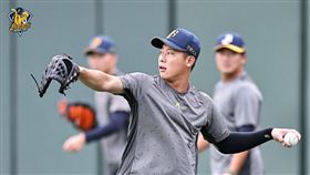 ▲中信兄弟左投魏碩成。（圖／中信兄弟球團提供）