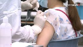 Y再爆過期苗2400-1