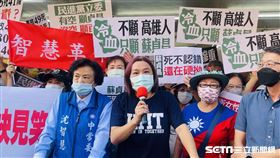 國民黨抗爭陳玉珍、葉毓蘭（圖／記者林恩如攝影）