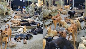 圖／翻攝自米克斯傳奇臉書