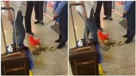 中國,浙江,活蟹,螃蟹,踩死,高鐵,車廂（圖／翻攝自香蕉視頻）