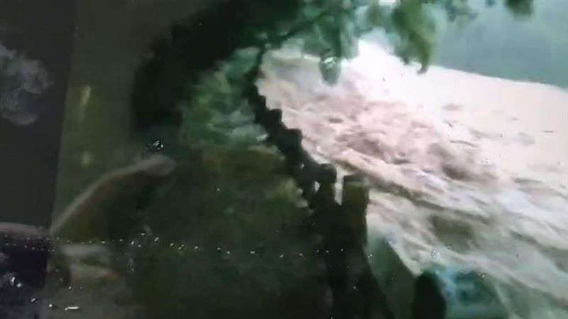 虎豹潭暴漲洪水灌步道　恐怖畫面曝