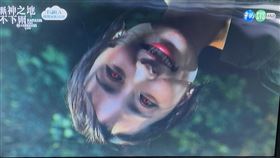 柯佳嬿（圖／翻攝自華視）