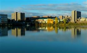 美國,紐約州立大學,水牛城,中國,留學生,退學▲（圖／翻攝自紐約州立大學水牛城分校官網）

