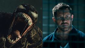 《猛毒2：血蜘蛛》湯姆哈迪（索尼影業提供）