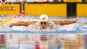 全運會男子200公尺蝶式  王冠閎摘金（2）110年全國運動會18日舉行男子組游泳200公尺蝶式決賽，「台灣蝶王」王冠閎代表台北市出賽，最終以1分56秒90拿下金牌。中央社記者鄭清元攝  110年10月18日