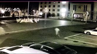 北韓前特種兵越獄　中國警方急懸賞