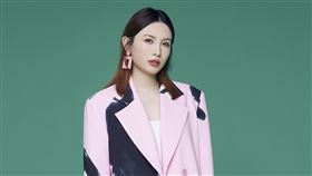 台南將軍吼 三立電視台提供