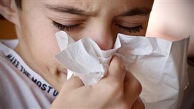 隱性鼻過敏 打噴嚏(圖／翻攝自Pixabay)
