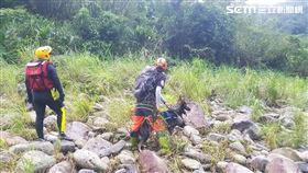 新北市消防局出動搜救犬 消防提供