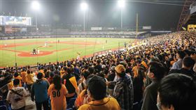 ▲市府與球隊合作，落實棒球運動在台中向下扎根。（圖／台中市政府運動局提供）