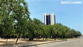 台南市綠覆率六都第一。（圖／台灣房屋提供）