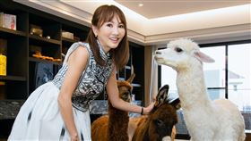 王宥忻三立新聞網專訪。（圖／記者楊澍攝影）