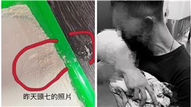 高雄,仁武,保母,鳳梨,道歉,下跪