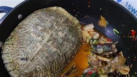 養20年寵物龜被偷！婦人急報警　找到時已變「紅燒烏龜」（圖／翻攝自現代快報）