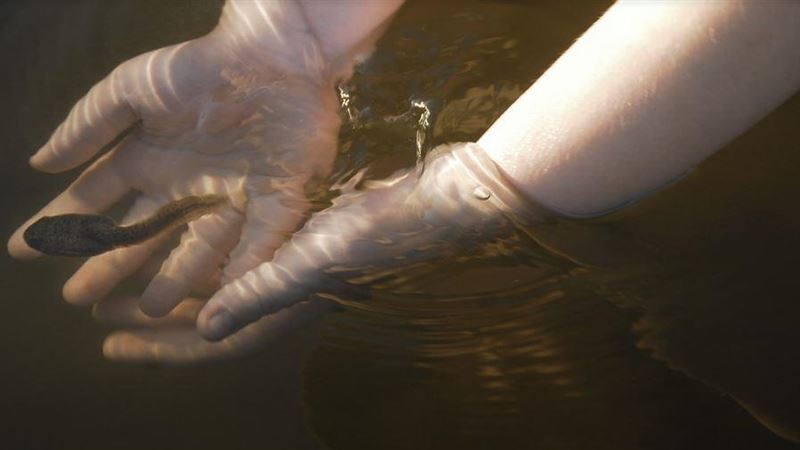 每天「生吞小蝌蚪」！50歲女下場慘
