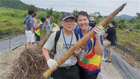 山藥(新北市政府農業局提供)