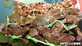 萬里蟹三足鼎立！原來在地漁民最愛的竟然不是最高價的花蟹（圖／新北市漁業處提供）