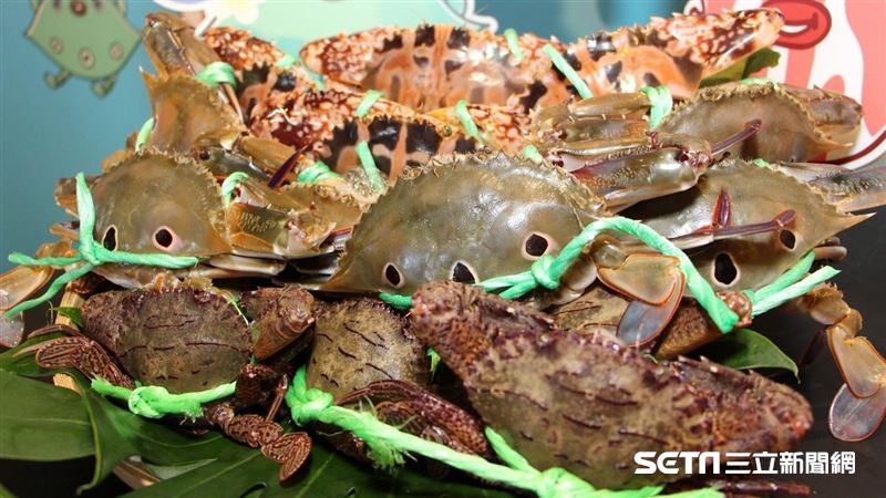 萬里蟹產季登場　饕客搶品嚐鮮美滋味