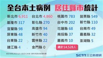 今本土又見+0 全台各縣市確診數曝