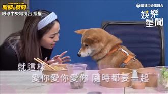 陳芳語為這事吃素　曝《愛你》秘辛