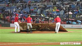 ▲桃園球場比賽因雨暫停，工作人員拉帆布遮蓋內野。（圖／記者劉彥池攝影）