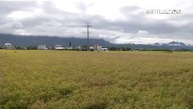 文 米變空包彈1800