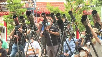 集集貓頭鷹爆紅　「大砲」搶拍同框照