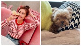 王宇婕。（翻攝自IG