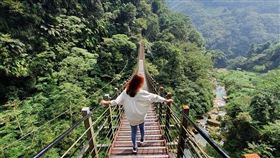 圖／台安旅行趣