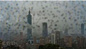 １０１地震（圖／翻攝自Taipei Travel Live Cam 台北觀光即時影像）