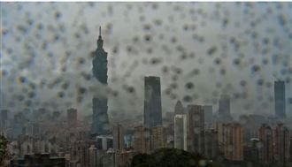 台北都在搖　網驚：101被晃出鏡了