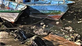 新北鼻頭漁港出現小海豹
新北市鼻頭漁港出現1隻疑似海豹的動物，新北市政府動物保護防疫處24日派員查看，確認是小海豹；動
保處25日將在不傷害小海豹的情形下，動員潛水人員下水圍捕，希望能適時安置，保護小海豹的生命。
（新北動保處提供）
中央社記者王鴻國傳真  110年10月24日